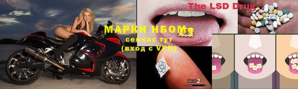 стаф Абаза