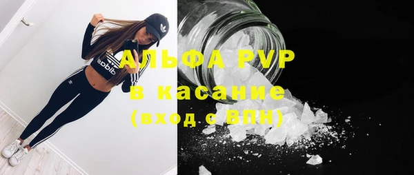 крисы Снежногорск