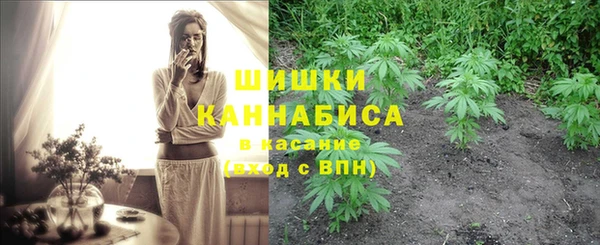 стаф Абаза