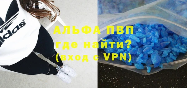 стаф Абаза
