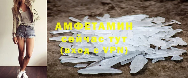 стаф Абаза