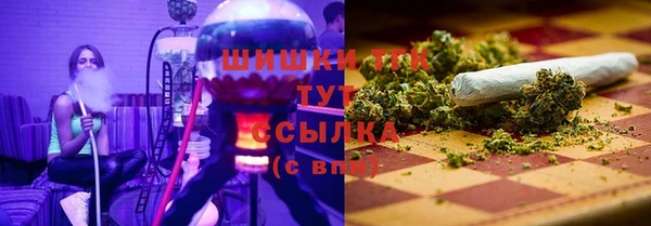 стаф Абаза