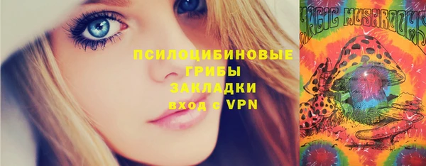 стаф Абаза