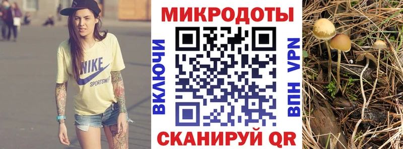 Псилоцибиновые грибы Cubensis  Конаково 