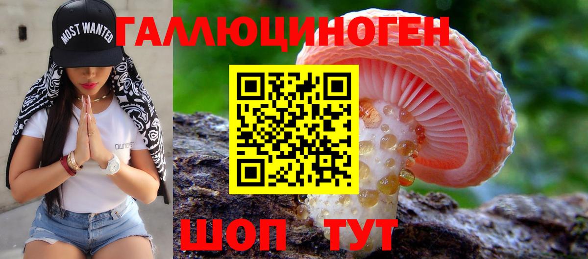 Конаково  Псилоцибиновые грибы Psilocybine cubensis  Галлюциногенные грибы мухоморы  Вход с VPN 